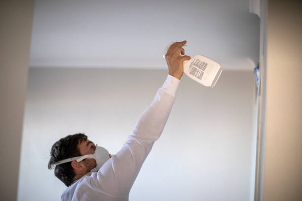 Best Residential Mold Remediation in Hebron, KY